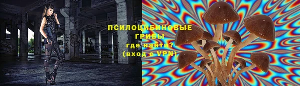 соль ск Дмитровск