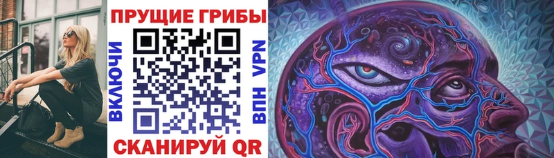 Купить  Полтавская  Псилоцибиновые грибы MAGIC MUSHROOMS 