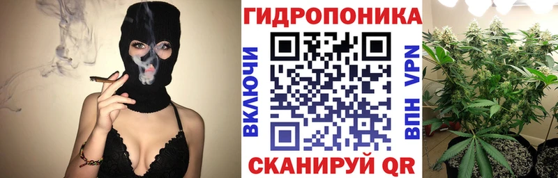 Бошки марихуана White Widow  Купить закладки  Полтавская 
